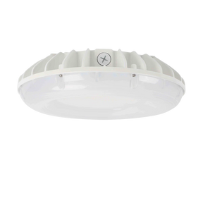 LED Canopy Light - 2 CCT - 60/46/36/22W