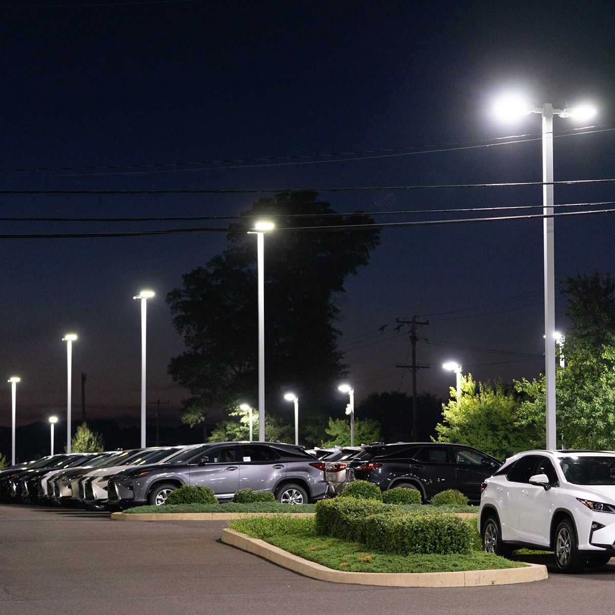 LED Shoebox Area Light - 600W