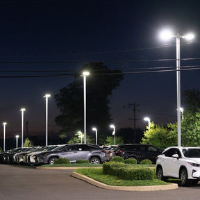 LED Shoebox Area Light - 600W